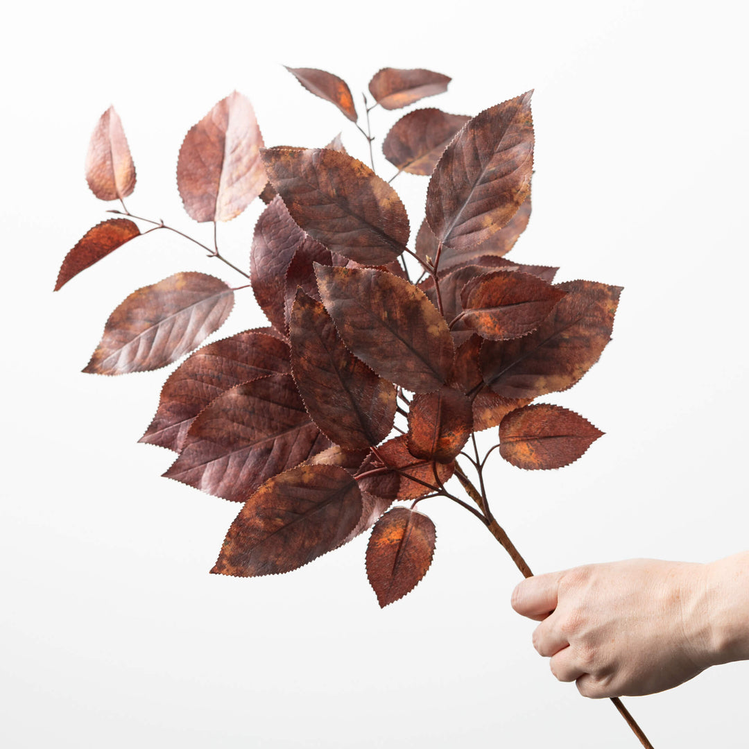 Salal Leaf Spray - 3 Colors