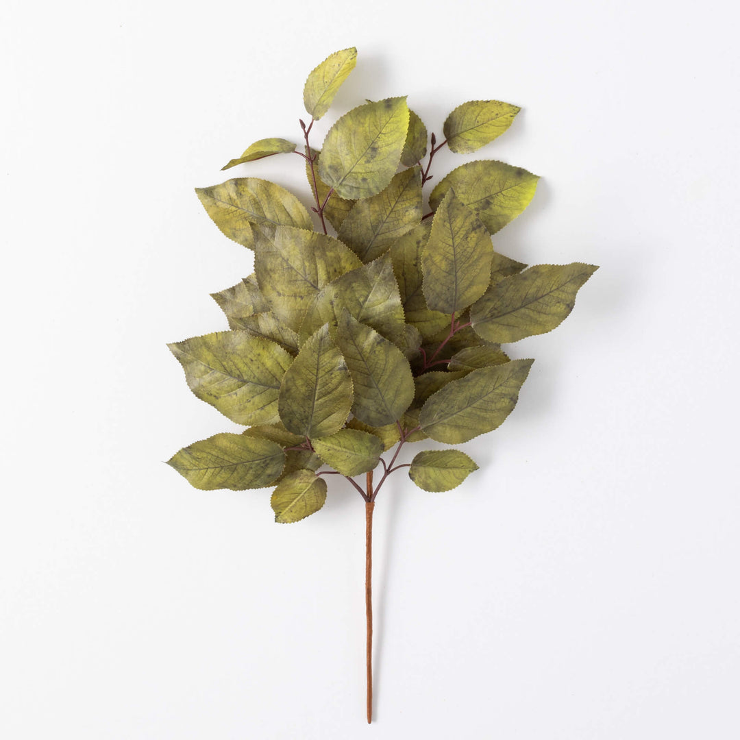 Salal Leaf Spray - 3 Colors