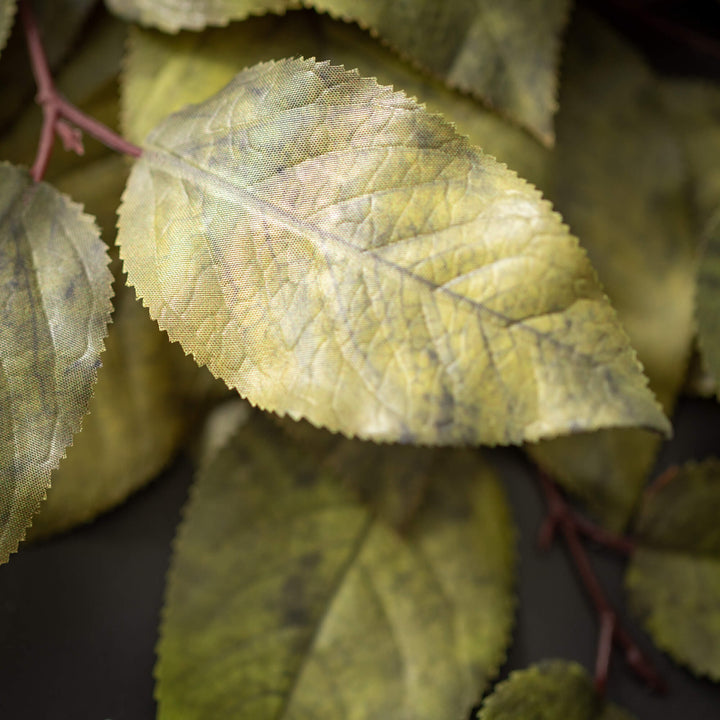 Salal Leaf Spray - 3 Colors