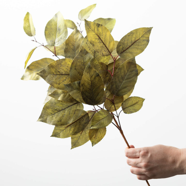 Salal Leaf Spray - 3 Colors