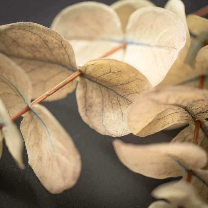 Eucalyptus Pick - 3 Colors