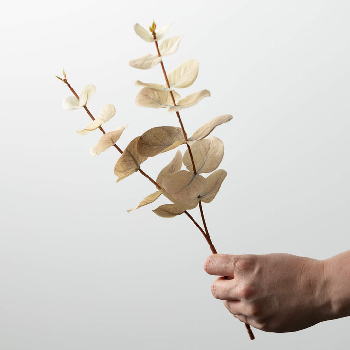 Eucalyptus Pick - 3 Colors