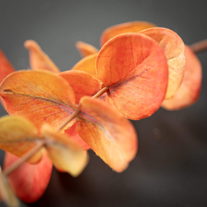 Eucalyptus Pick - 3 Colors