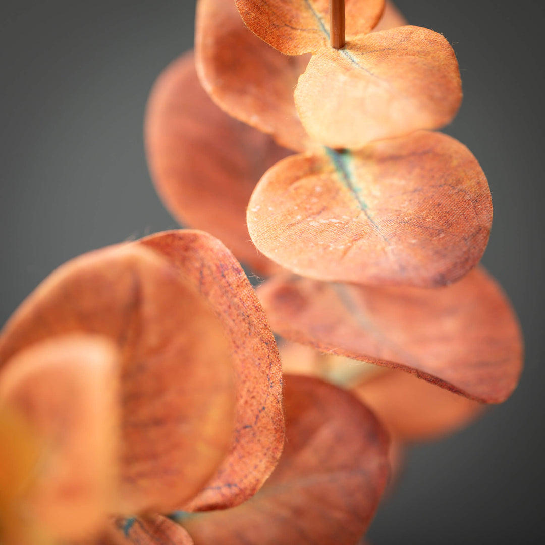 Eucalyptus Pick - 3 Colors