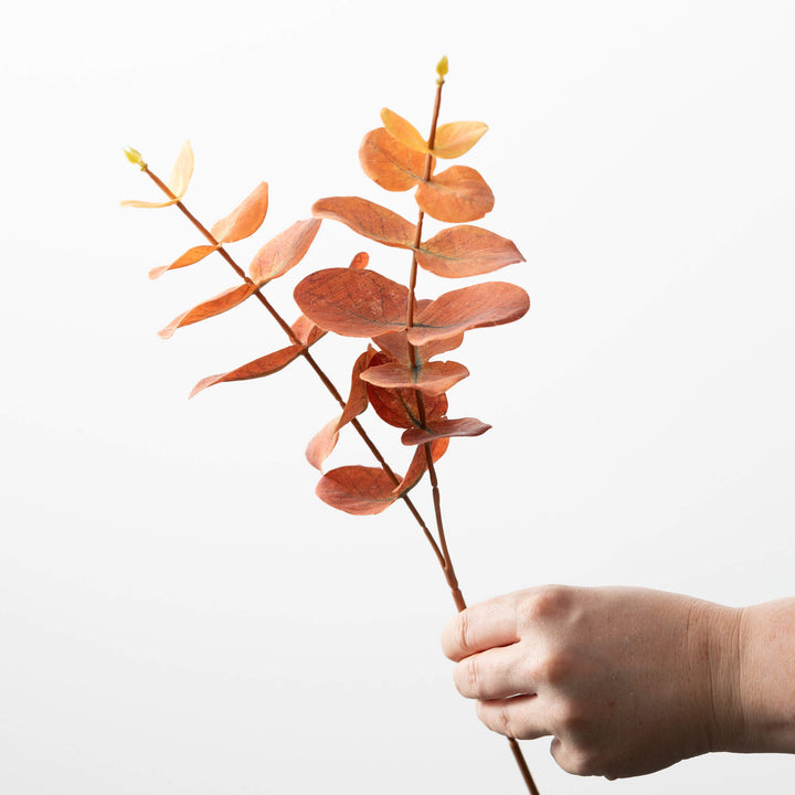 Eucalyptus Pick - 3 Colors