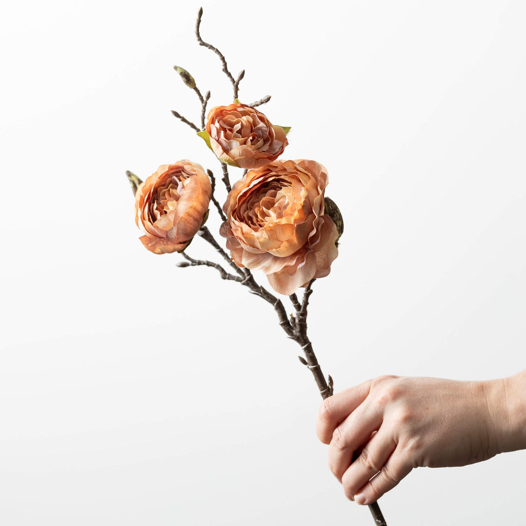 Ranunculus Spray - 2 Colors