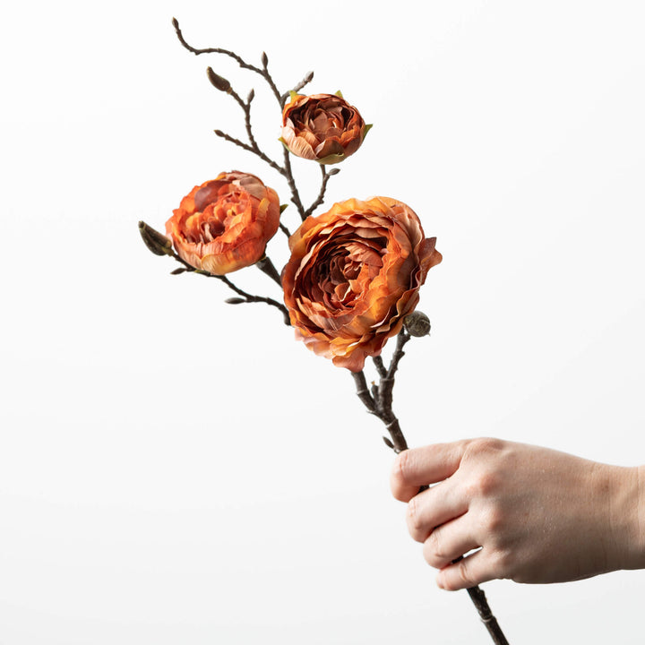 Ranunculus Spray - 2 Colors
