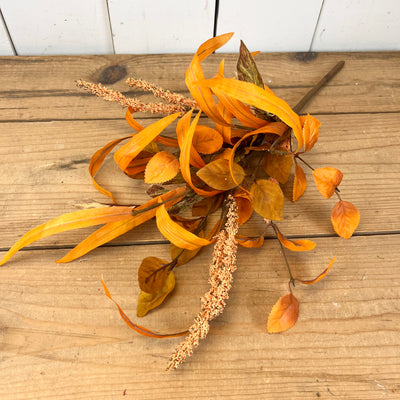 Vibrant Orange Fall Leaf Collection