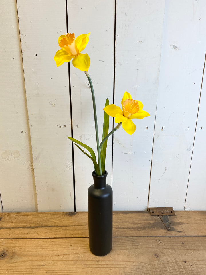 Daffodil Stem