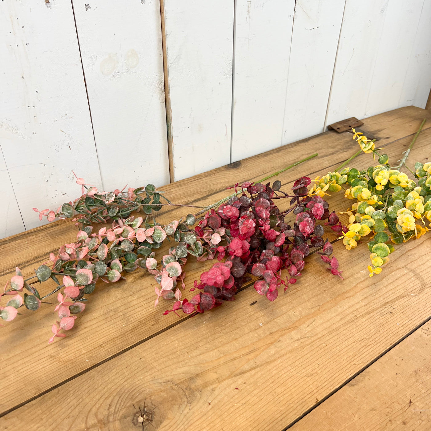 Vibrant Eucalyptus Stems