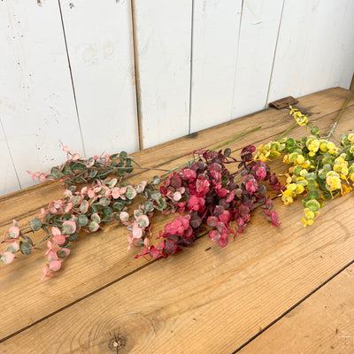 Vibrant Eucalyptus Stems