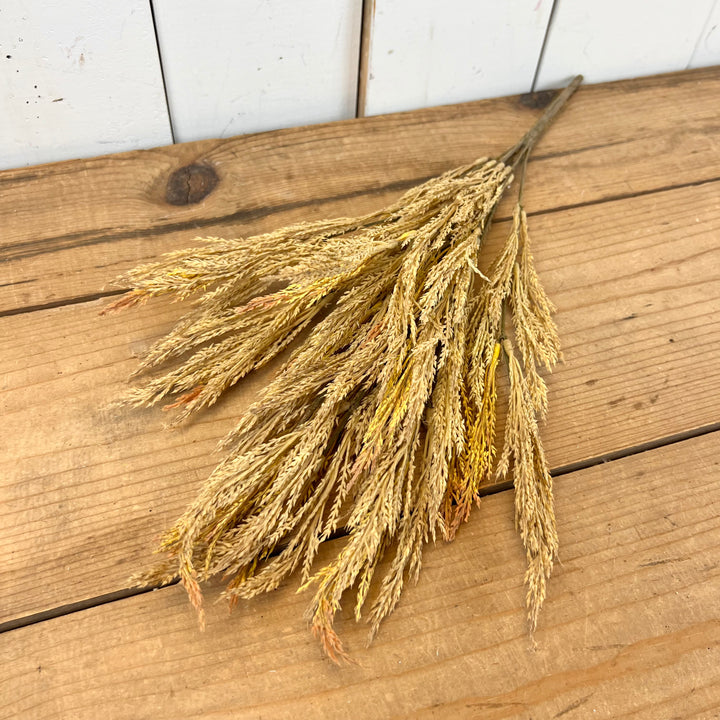 Wheat Grass Stems