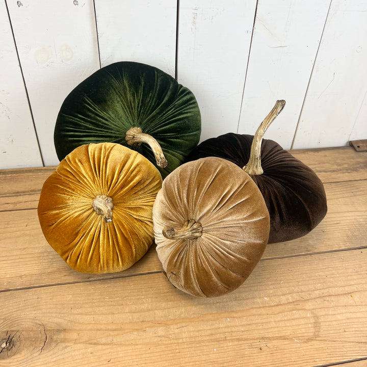 Velvet Pumpkins