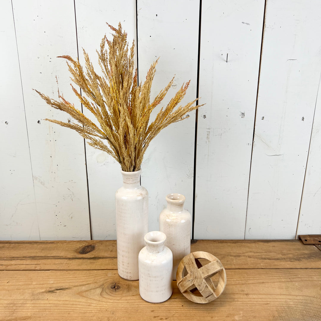 Wheat Grass Stems