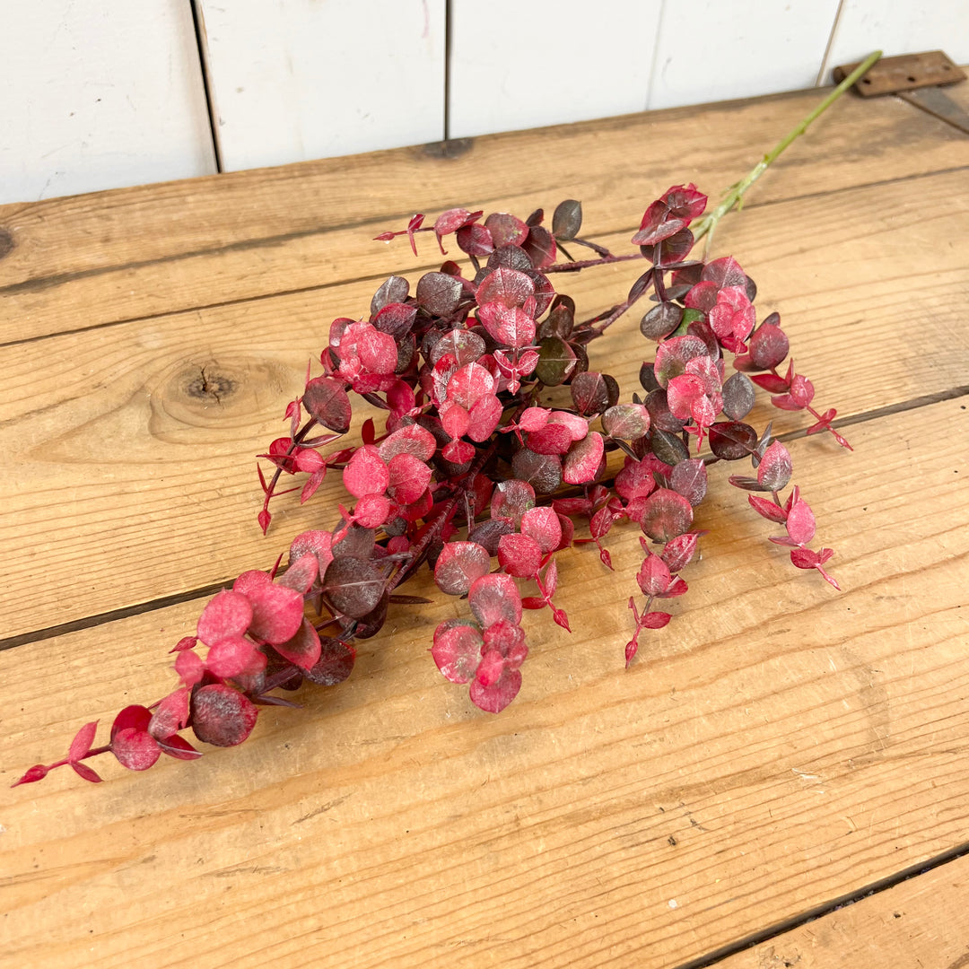 Vibrant Eucalyptus Stems