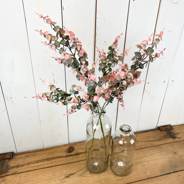 Vibrant Eucalyptus Stems