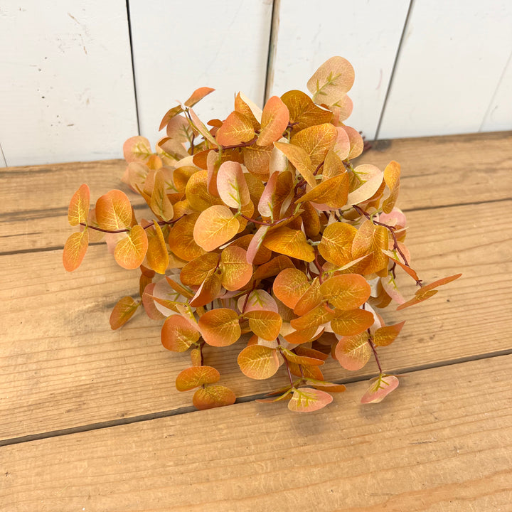 Fall Eucalyptus Bundles