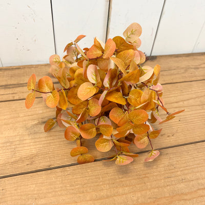 Fall Eucalyptus Bundles