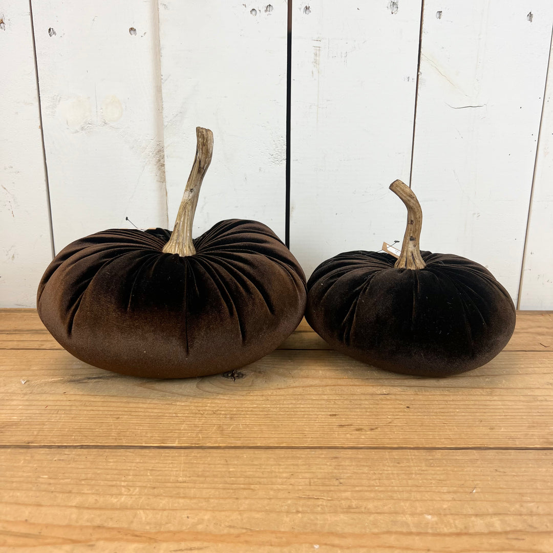Velvet Pumpkins