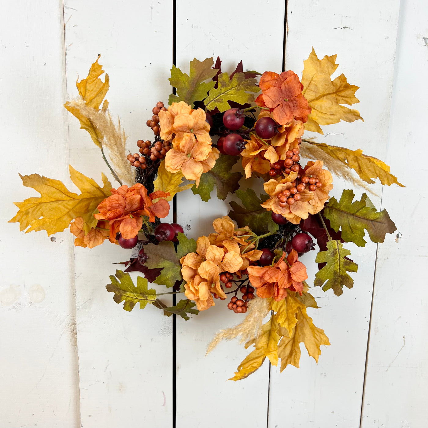 Fall Hydrangea and Leaf Collection