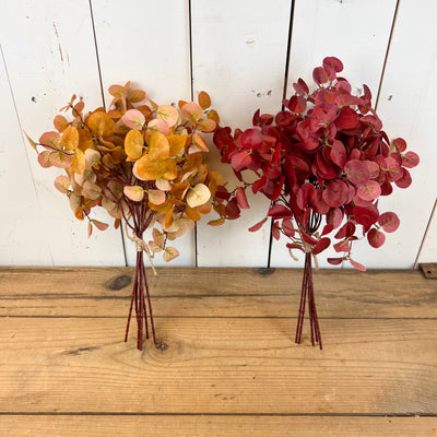 Fall Eucalyptus Bundles
