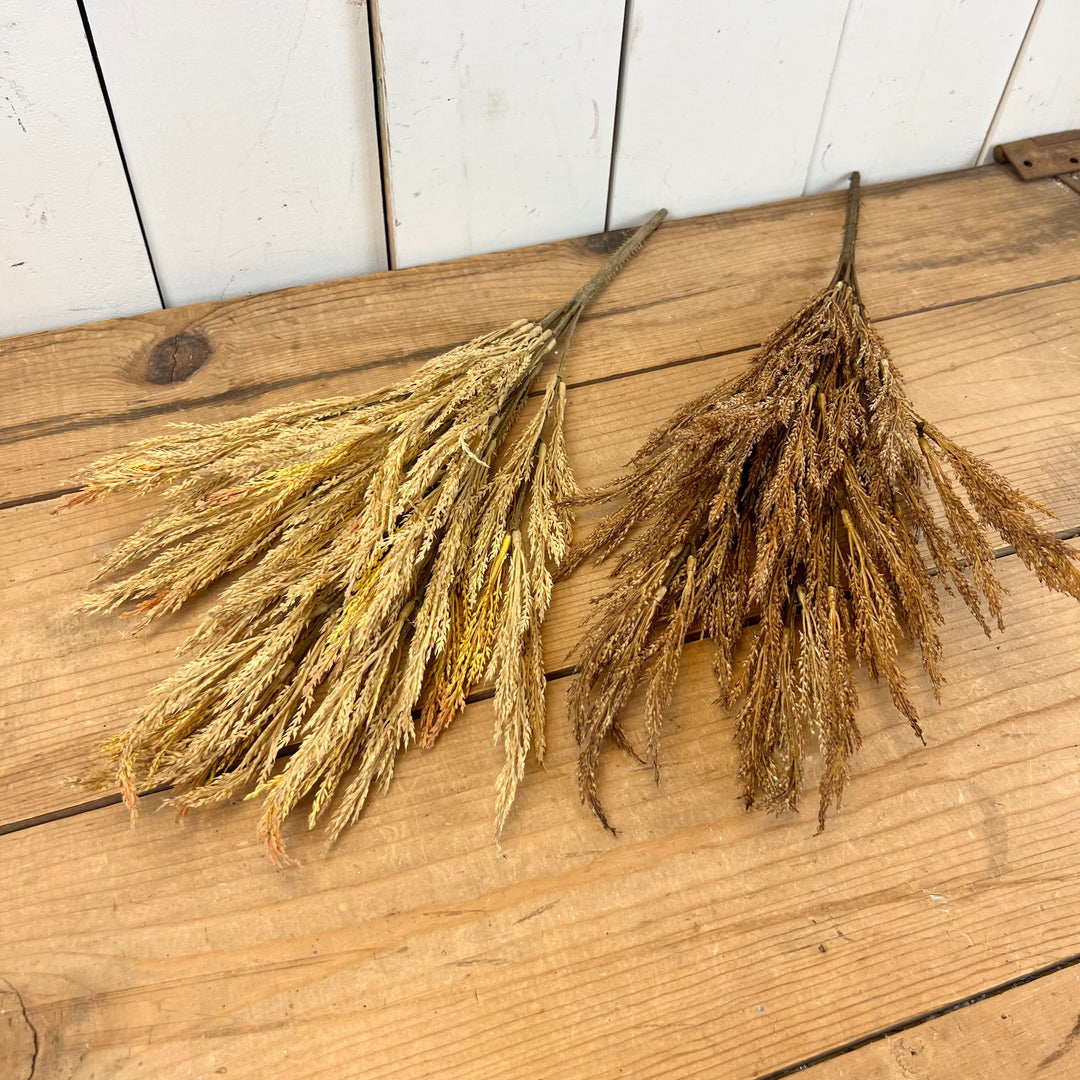Wheat Grass Stems