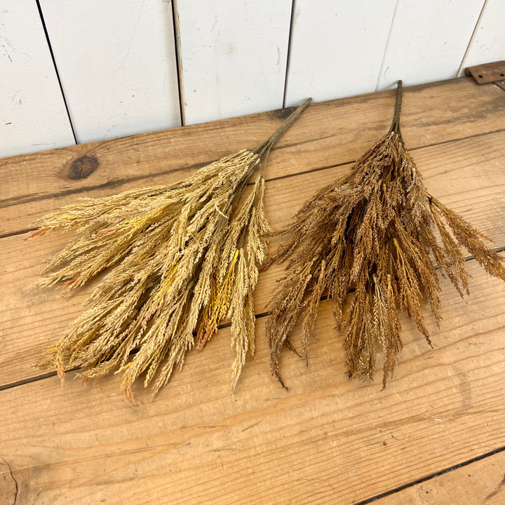 Wheat Grass Stems