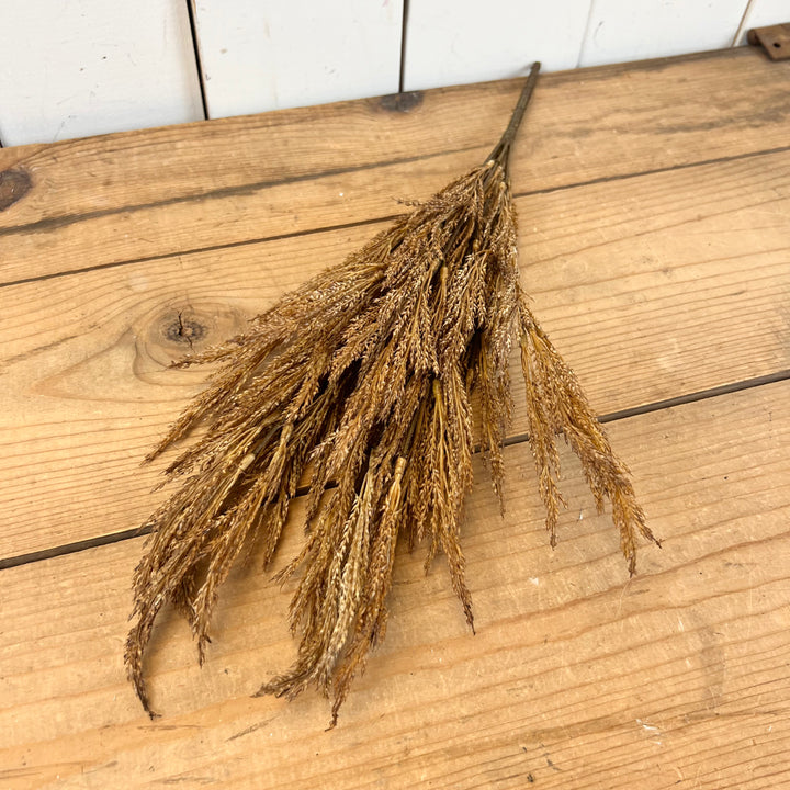 Wheat Grass Stems