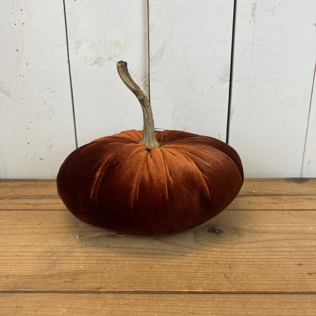 Velvet Pumpkins