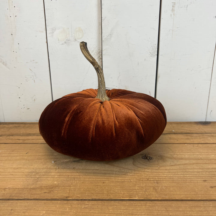 Velvet Pumpkins