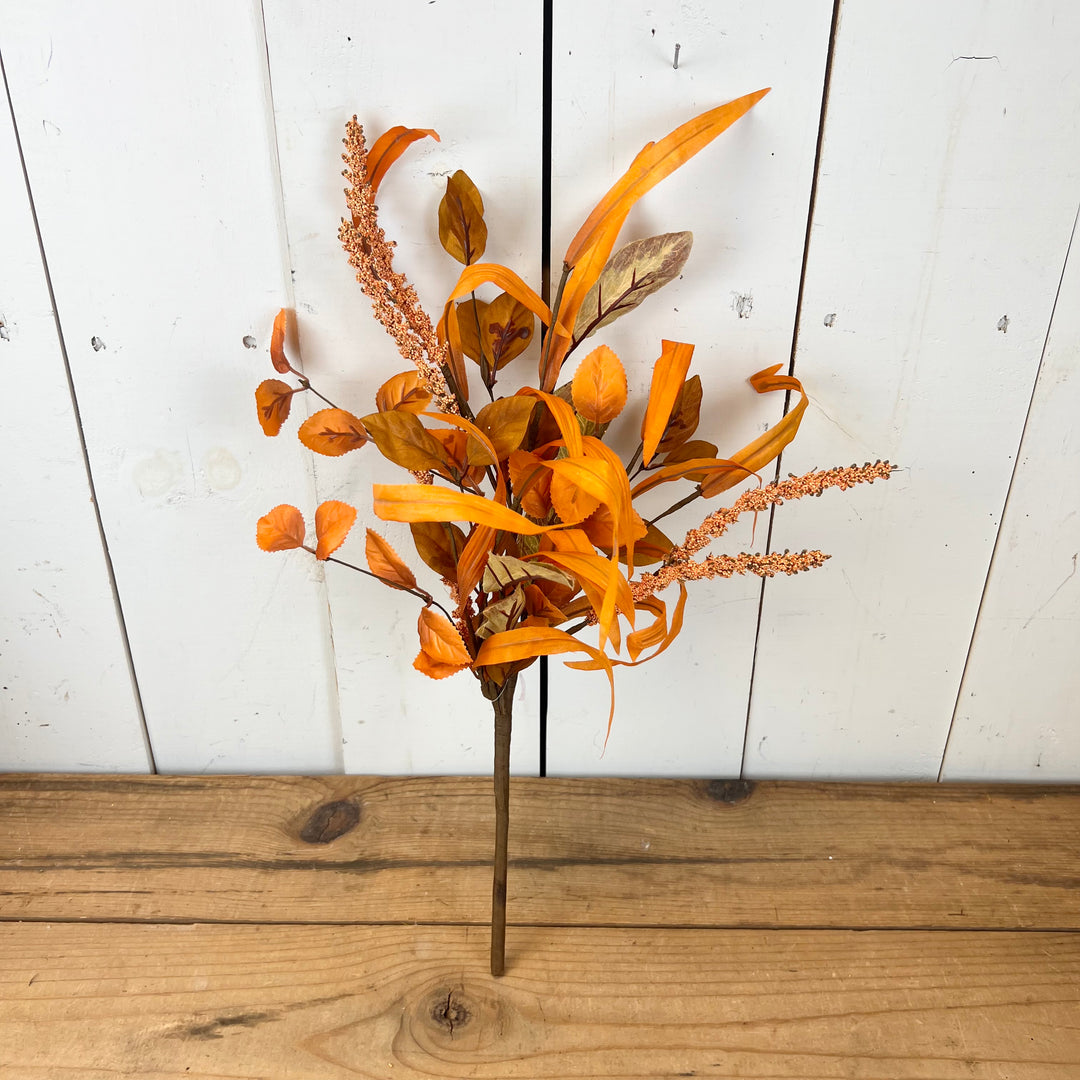 Vibrant Orange Fall Leaf Collection