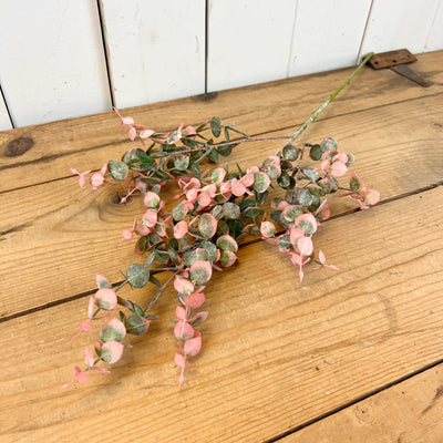 Vibrant Eucalyptus Stems