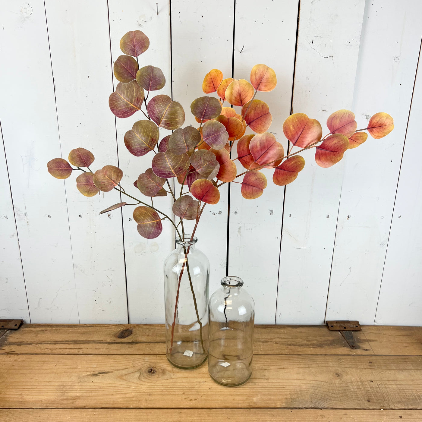 Fall Silver Dollar Eucalyptus