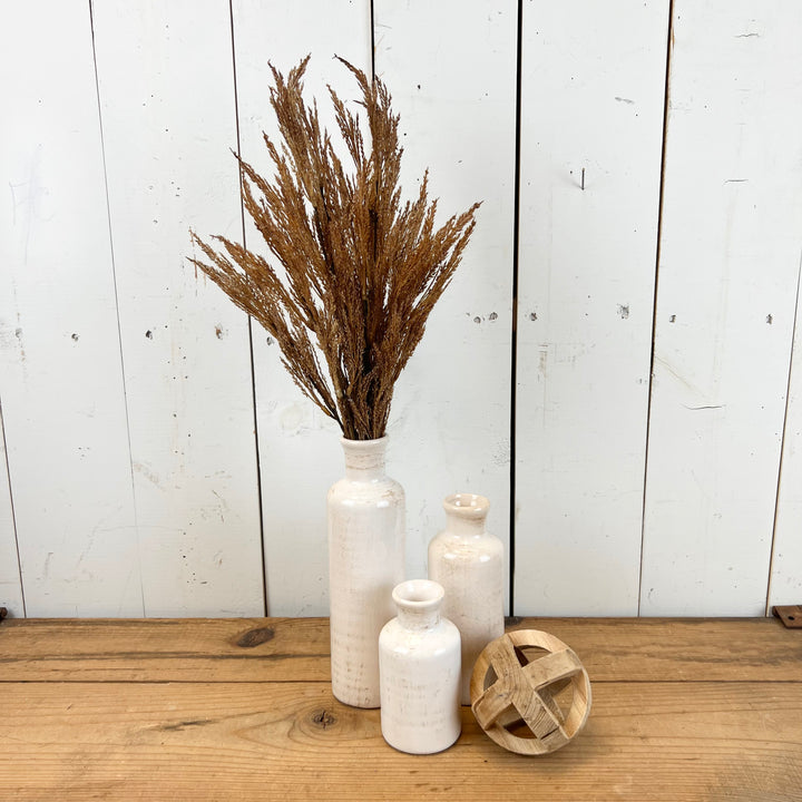 Wheat Grass Stems