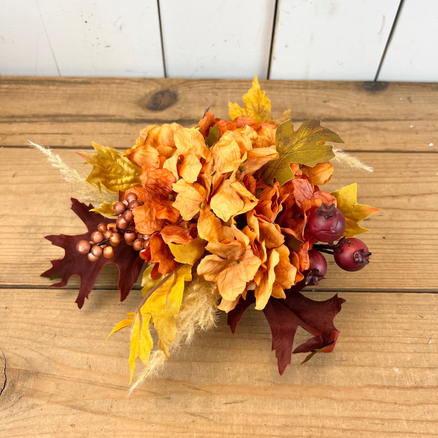 Fall Hydrangea and Leaf Collection