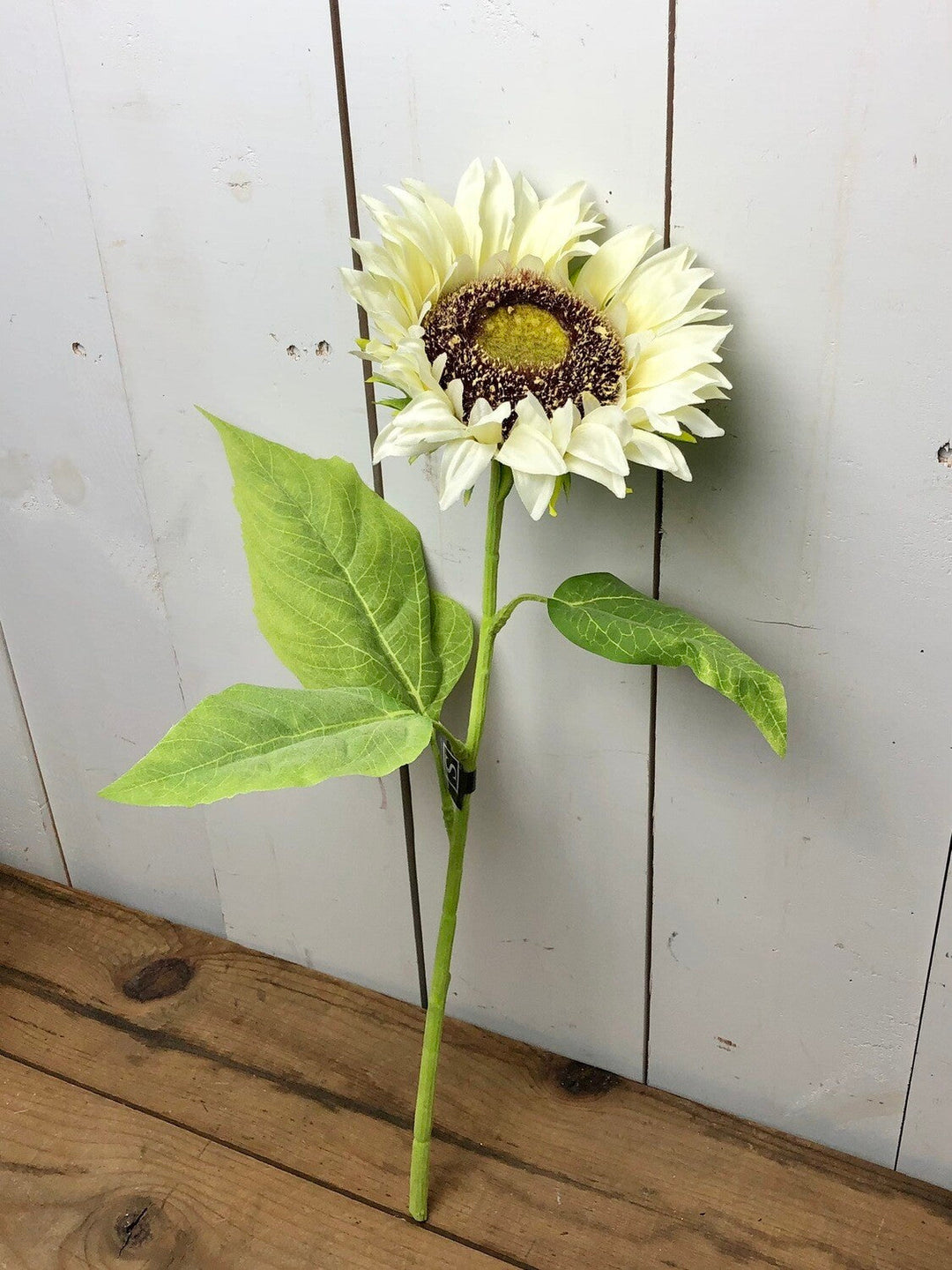 White Sunflower Eucalyptus Collection