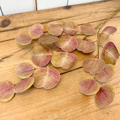 Fall Silver Dollar Eucalyptus