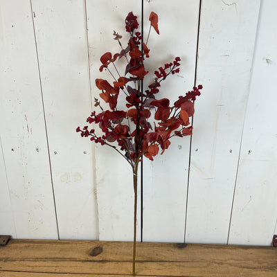Red Eucalyptus & Berry Collection
