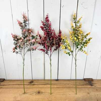 Vibrant Eucalyptus Stems