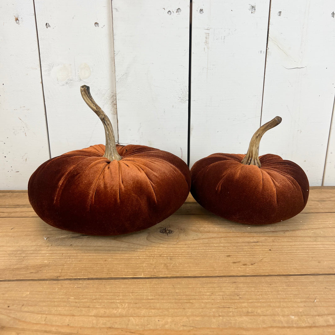 Velvet Pumpkins