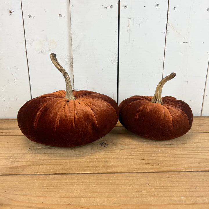 Velvet Pumpkins