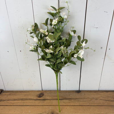 Dogwood Floral Collection