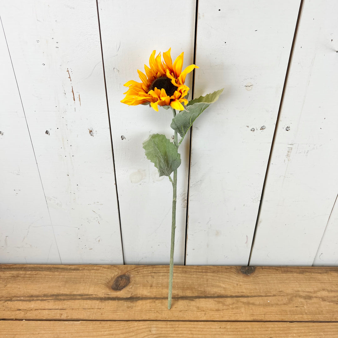 Single Sunflower Stem