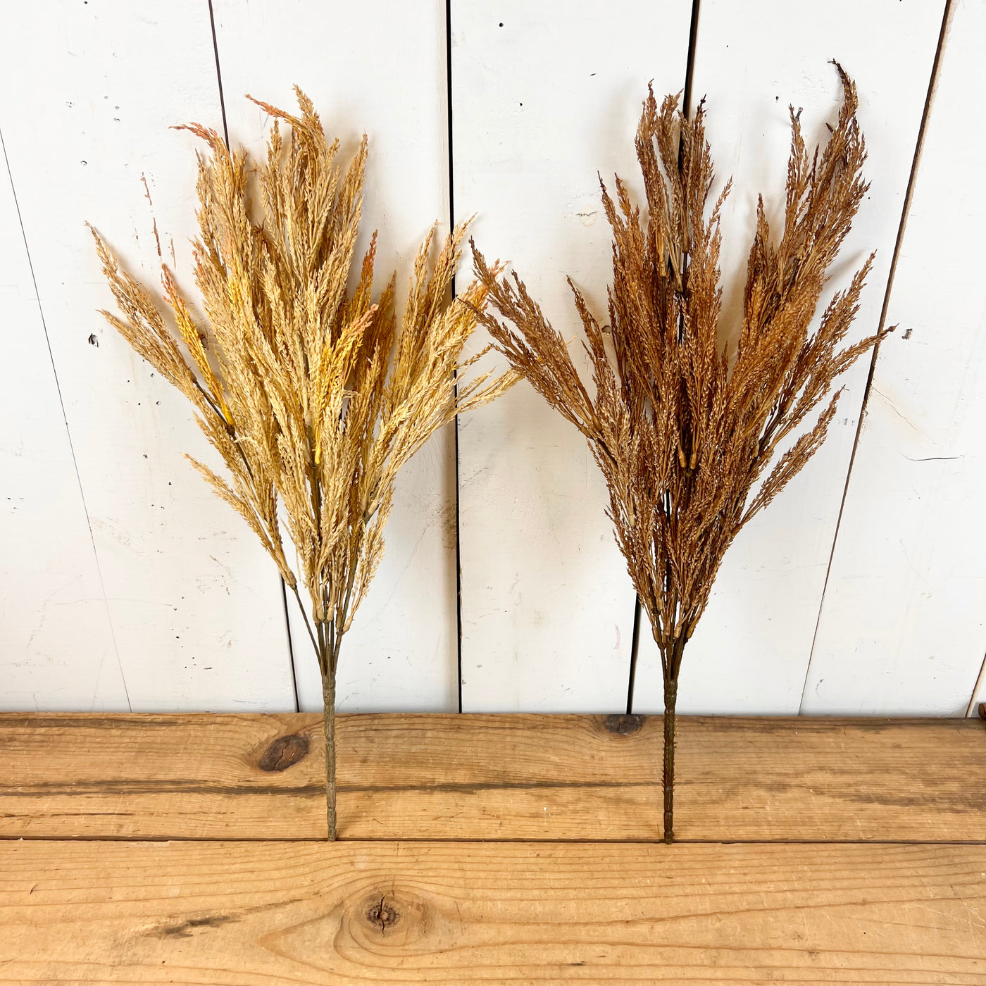 Wheat Grass Stems