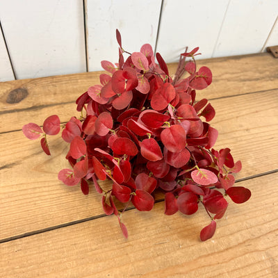 Fall Eucalyptus Bundles