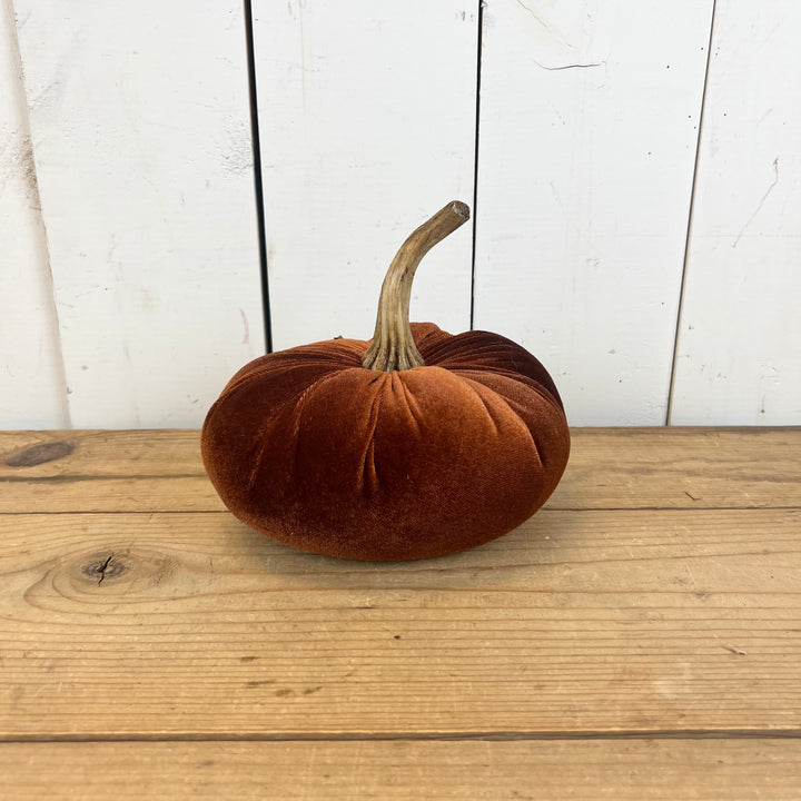 Velvet Pumpkins