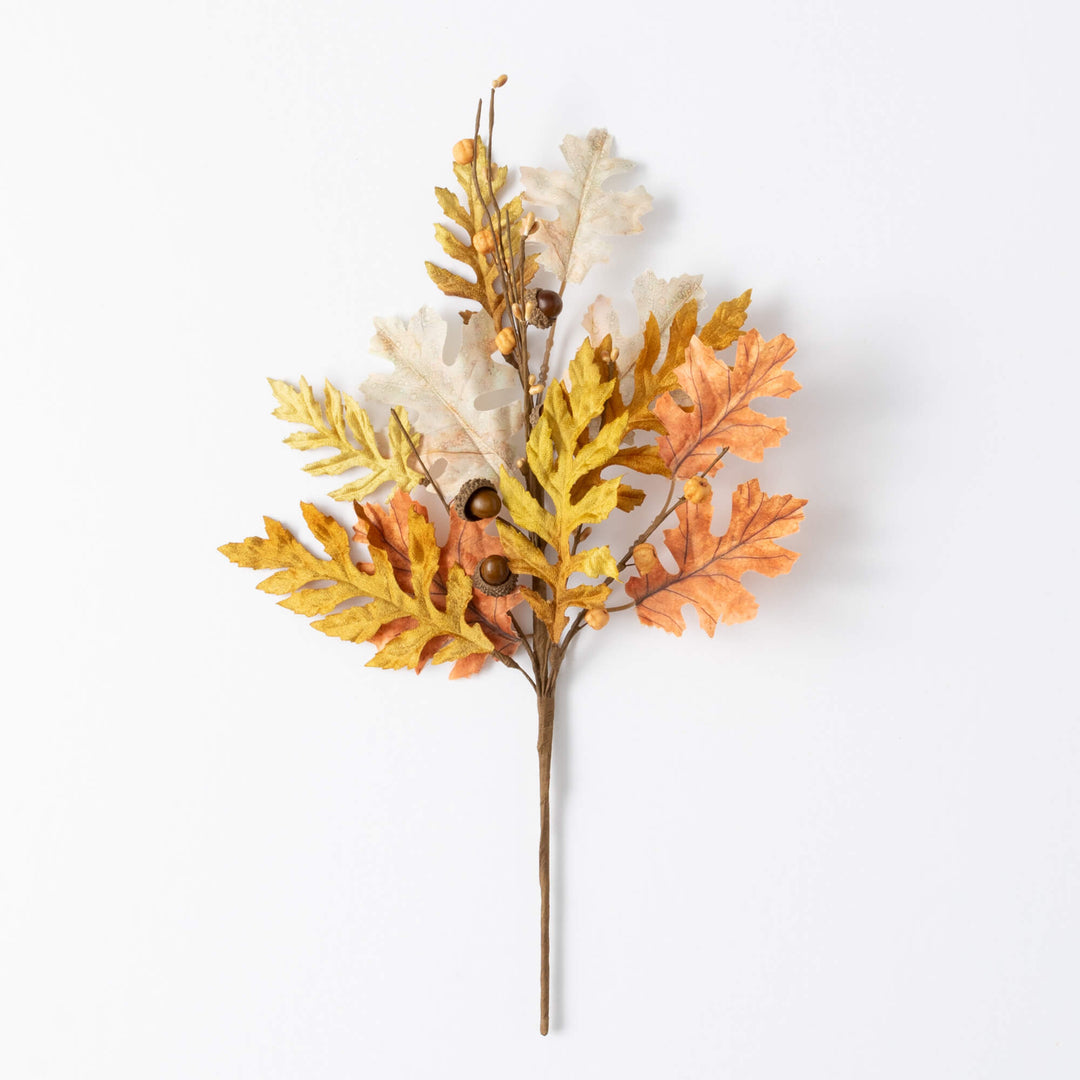 Multicolor Oak Collection