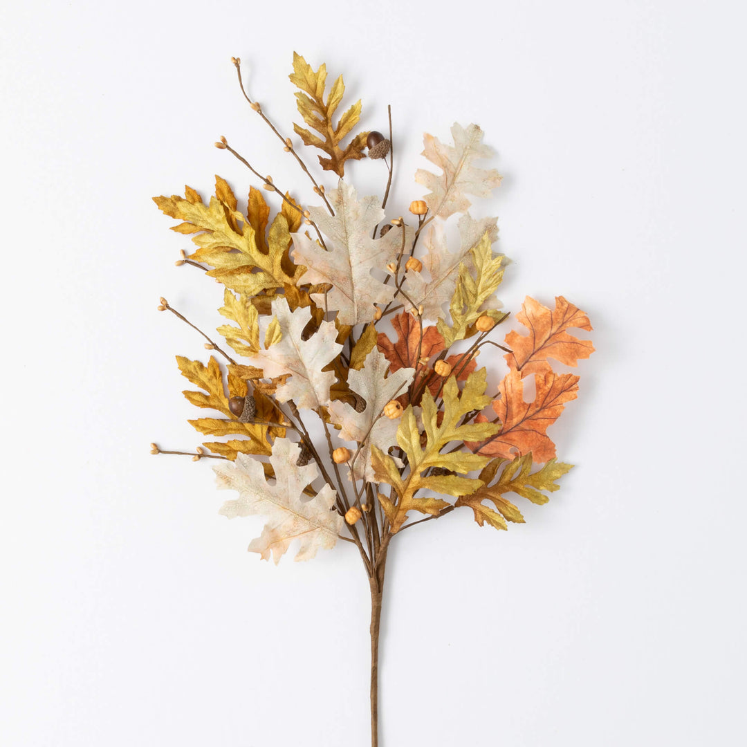 Multicolor Oak Collection