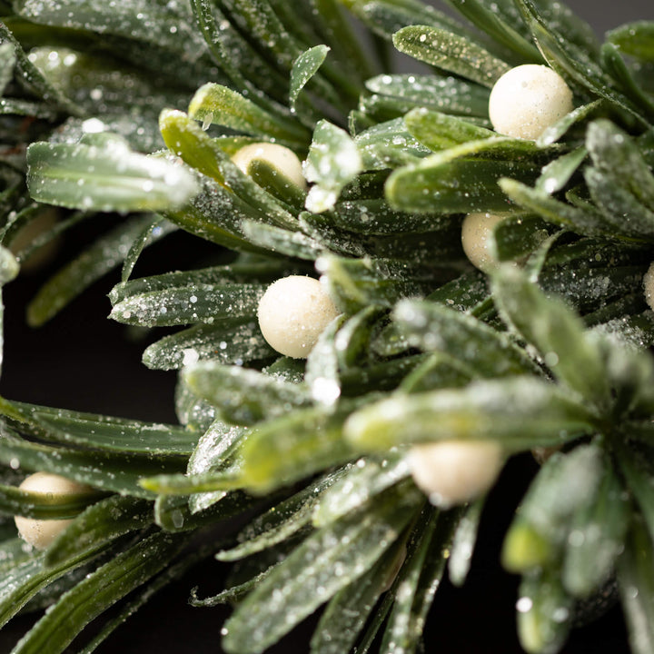 Mistletoe Collection