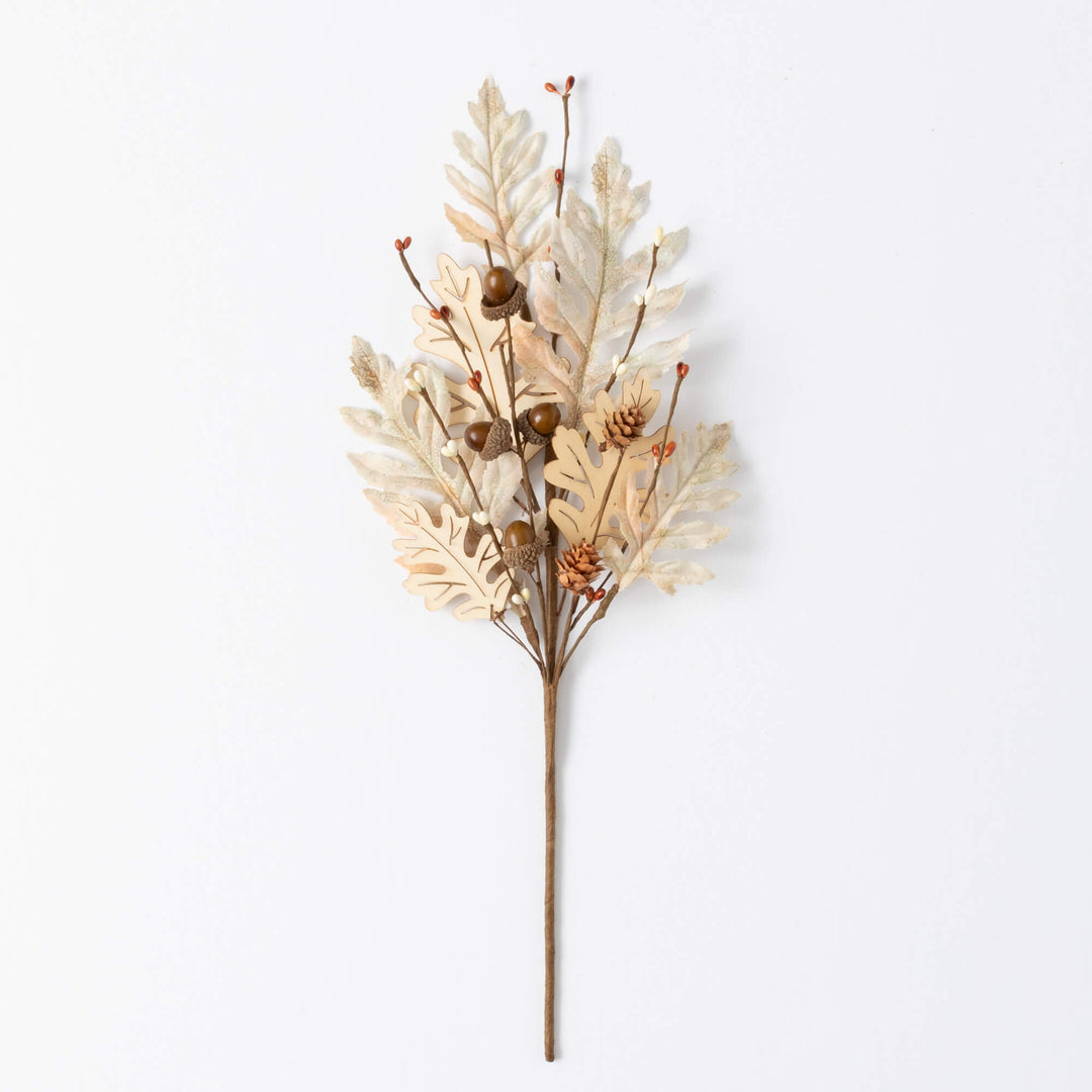 Oak Leaf with Wood Collection